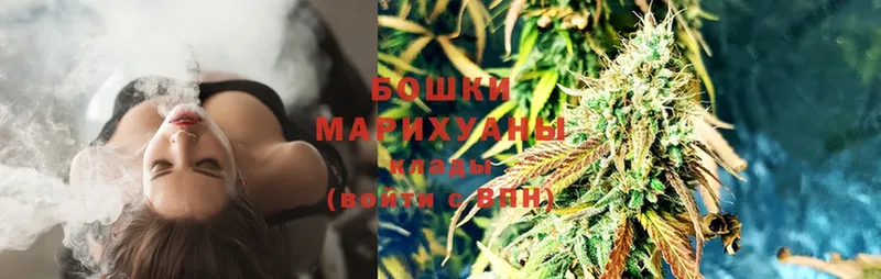 Бошки марихуана LSD WEED  закладка  Богородск 